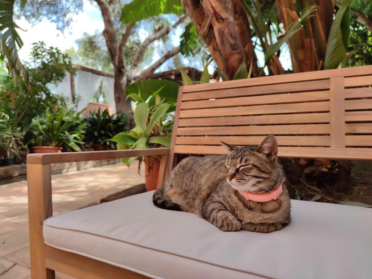 La Posada De Lola - Adults Only Otel Bolonia Dış mekan fotoğraf