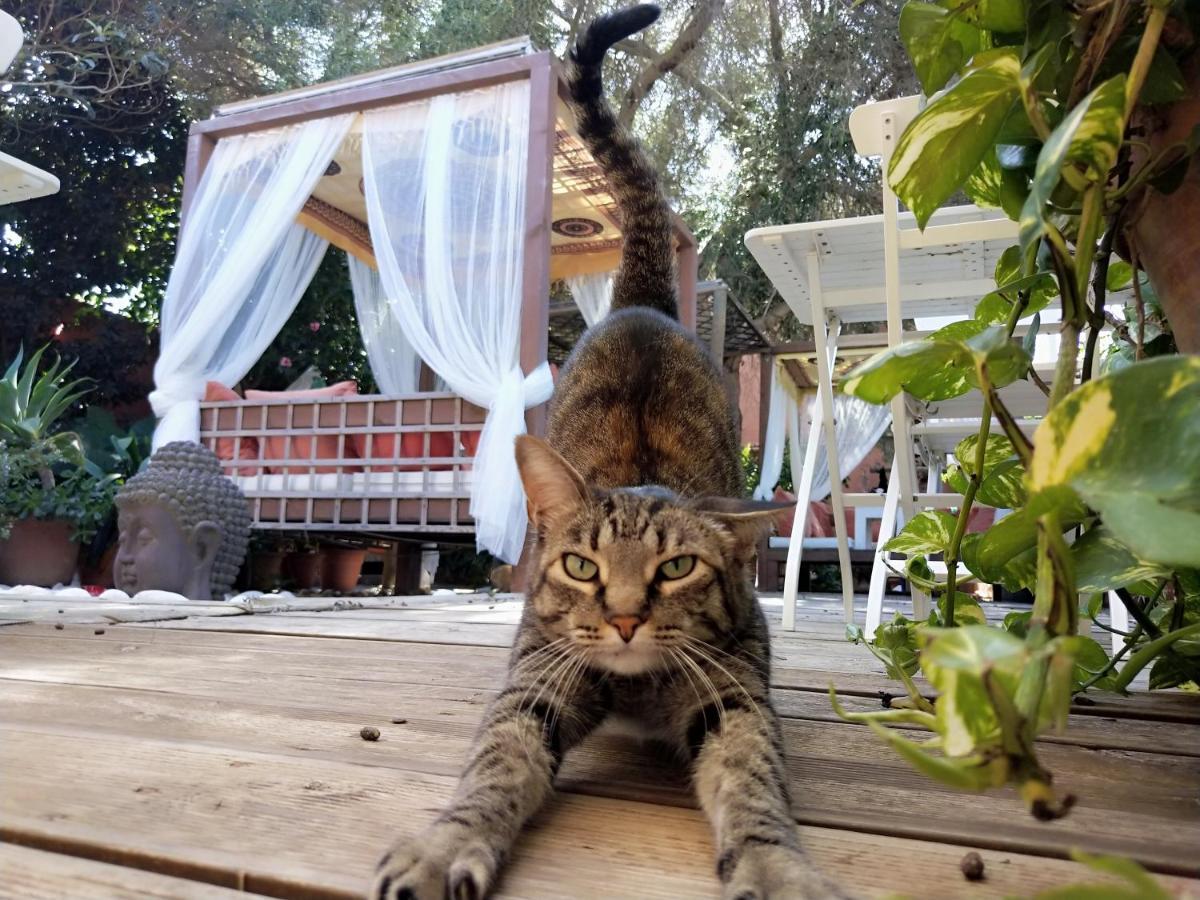 La Posada De Lola - Adults Only Otel Bolonia Dış mekan fotoğraf