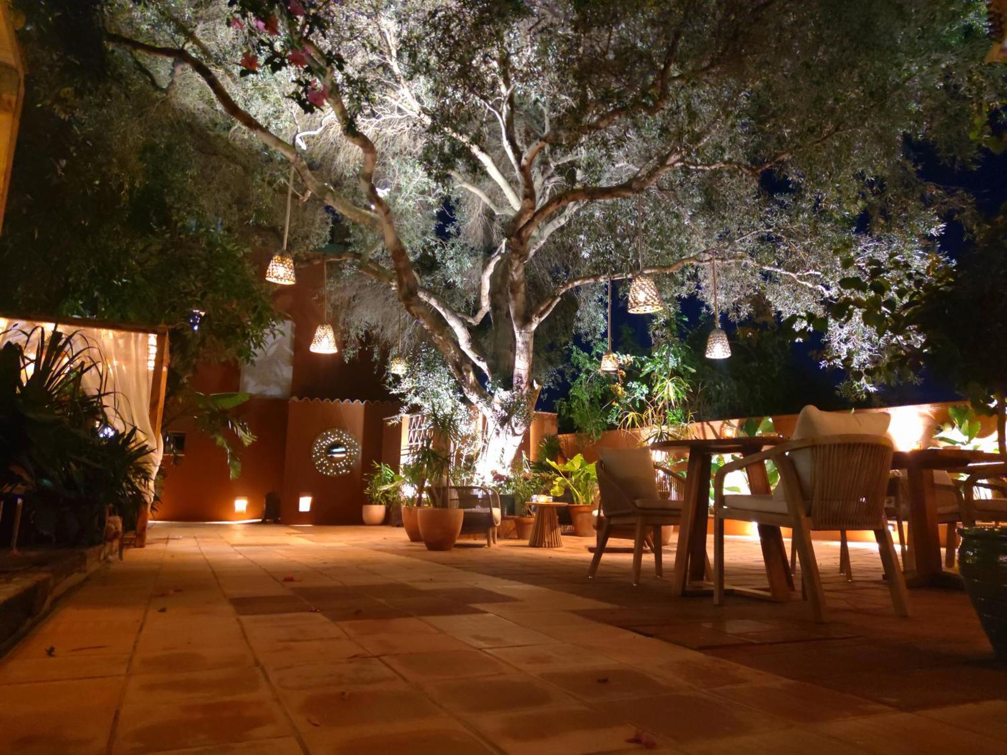 La Posada De Lola - Adults Only Otel Bolonia Dış mekan fotoğraf